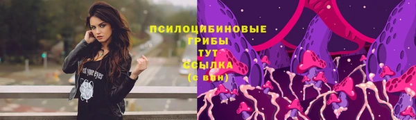 бошки Алексеевка