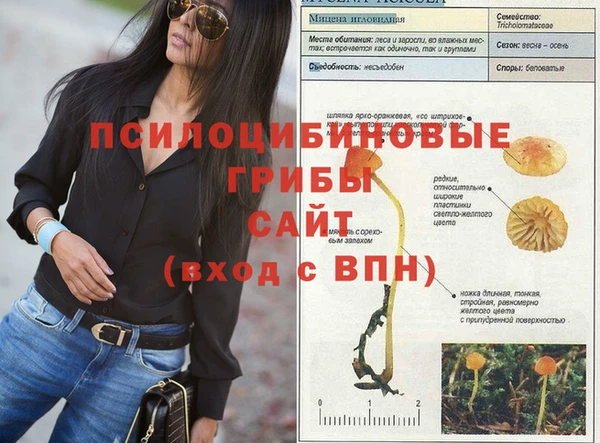 наркотики Алзамай