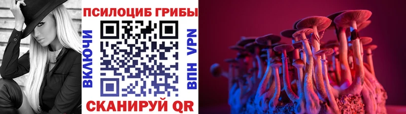 Псилоцибиновые грибы прущие грибы  где купить наркоту  Тейково 